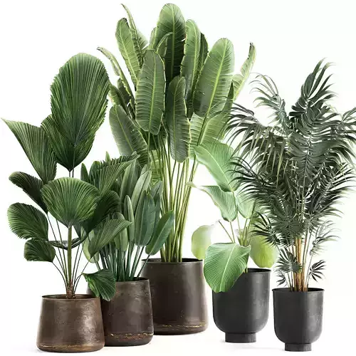 Plants in a metal flowerpot for the interior 1085 3D model
