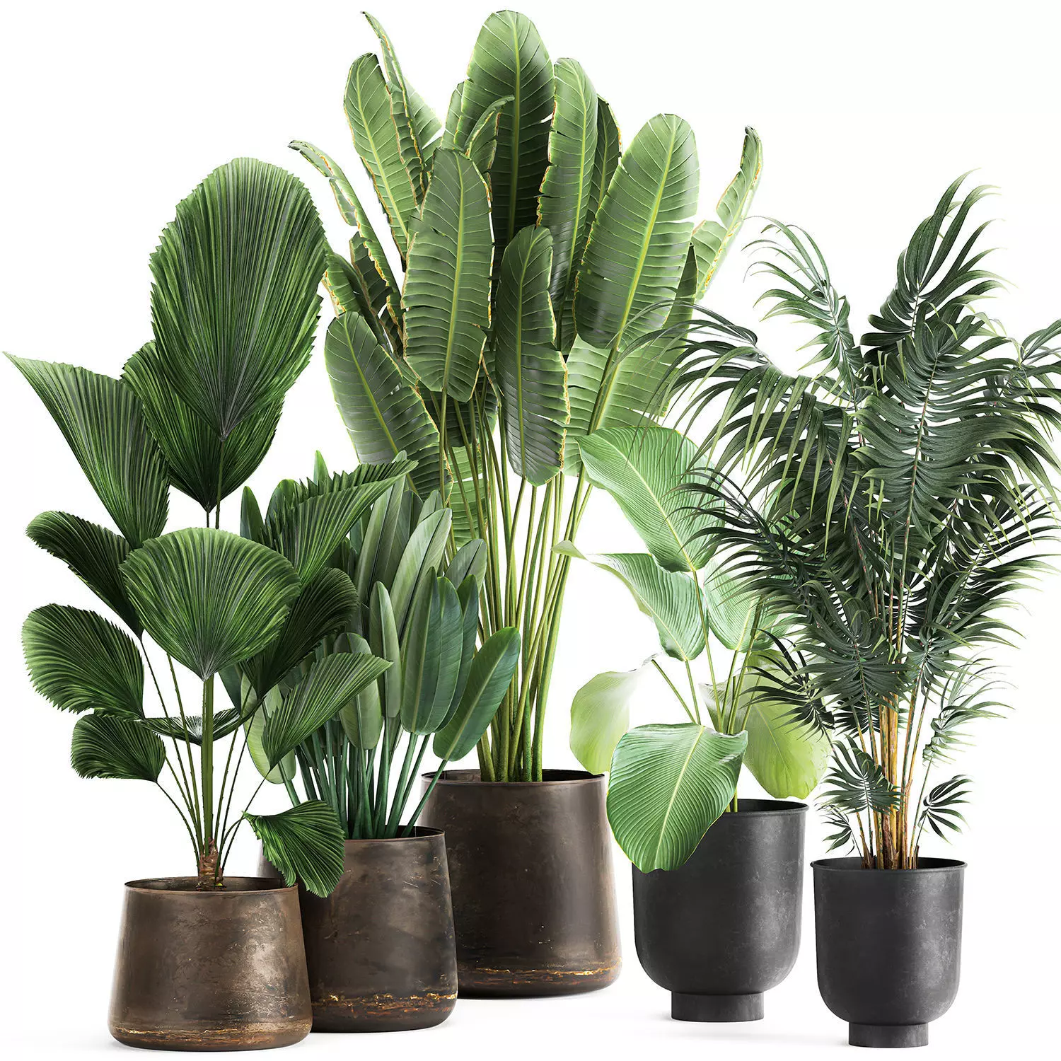Plants in a metal flowerpot for the interior 1085 3D model