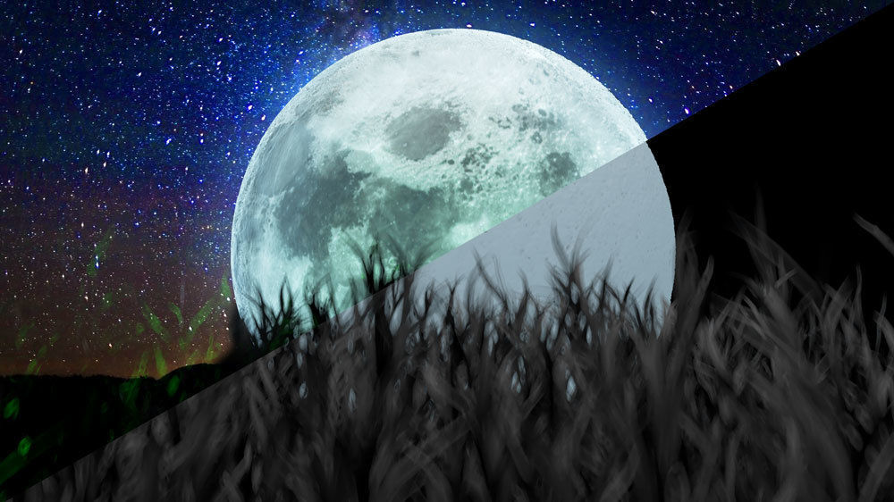 Moon Sky Free 3D model_1