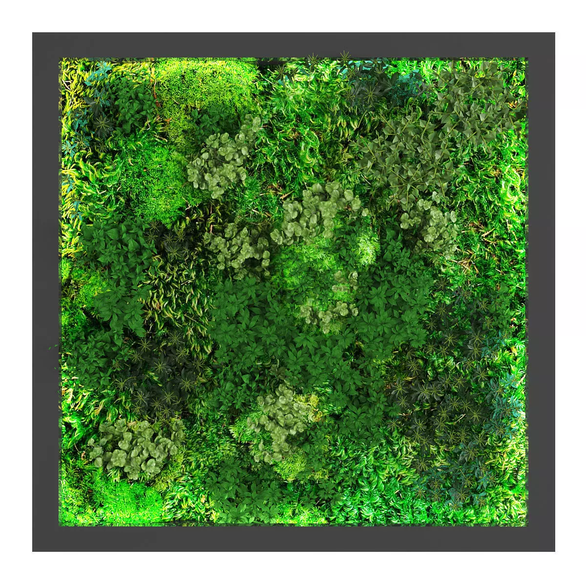 Vertical garden 160 Low-poly 3D model_0