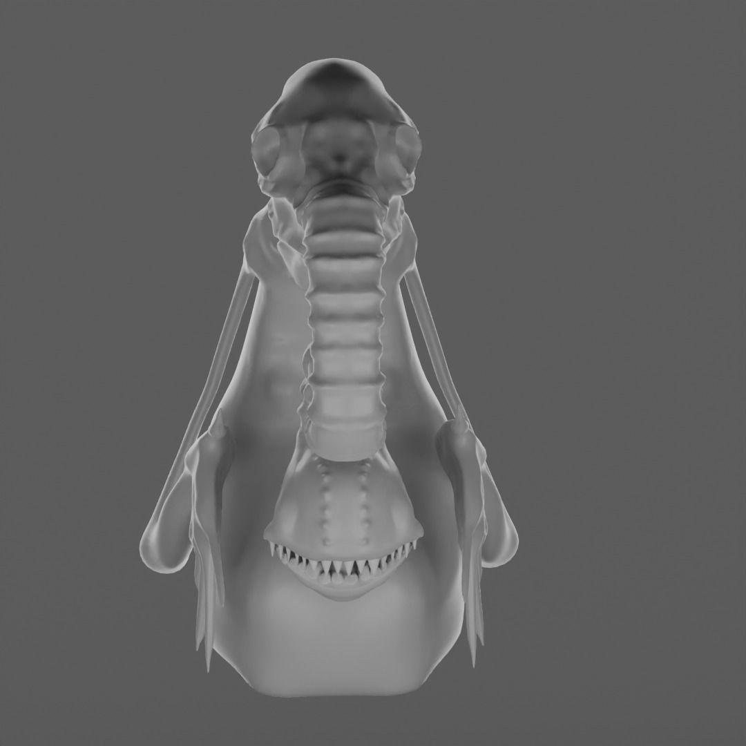 Alien3D HIGH POLY skeleton 3D model_3