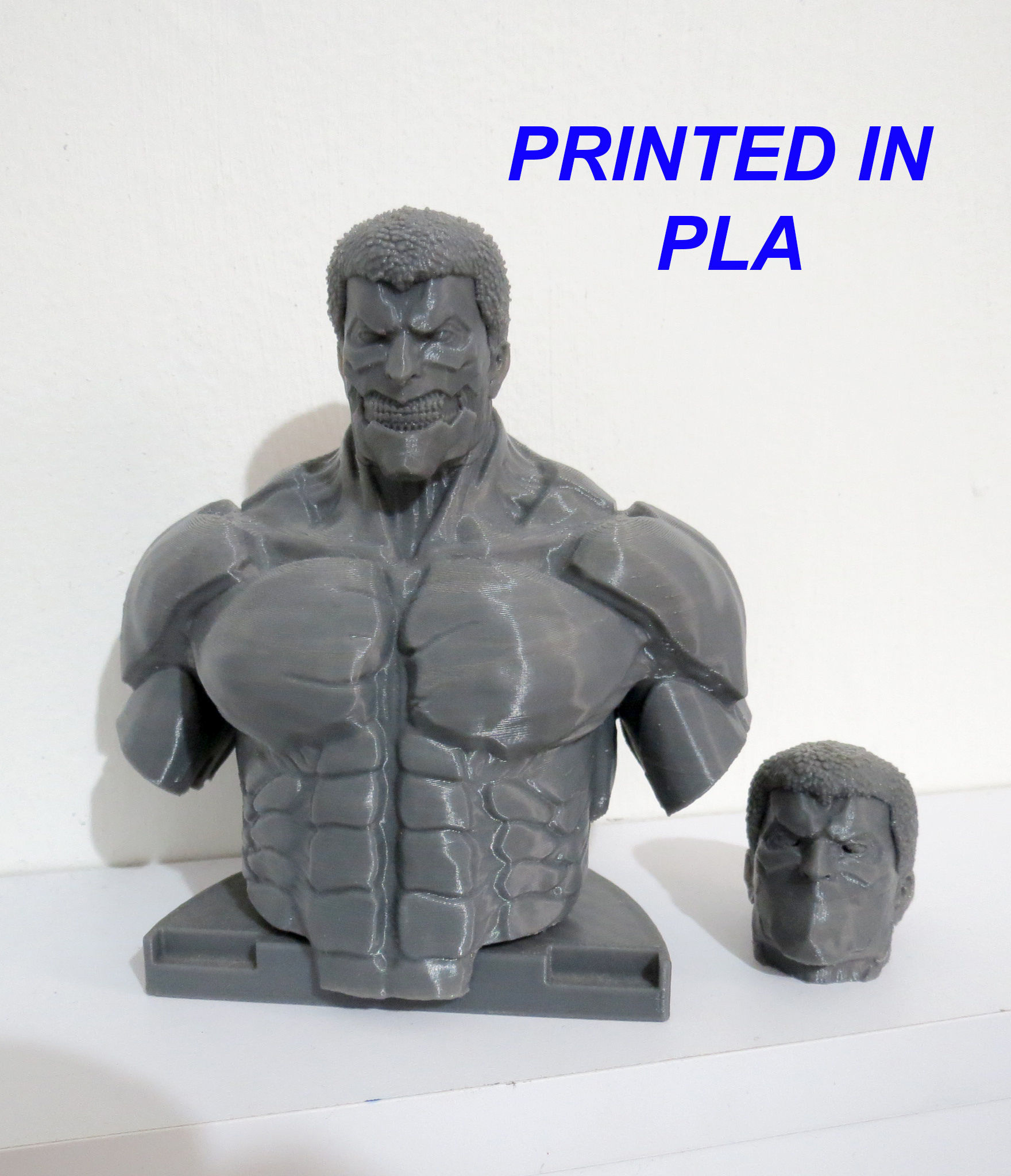 TITAN BLINDADO RAINER BUSTO - ATTACK ON TITAN 3D print model_1