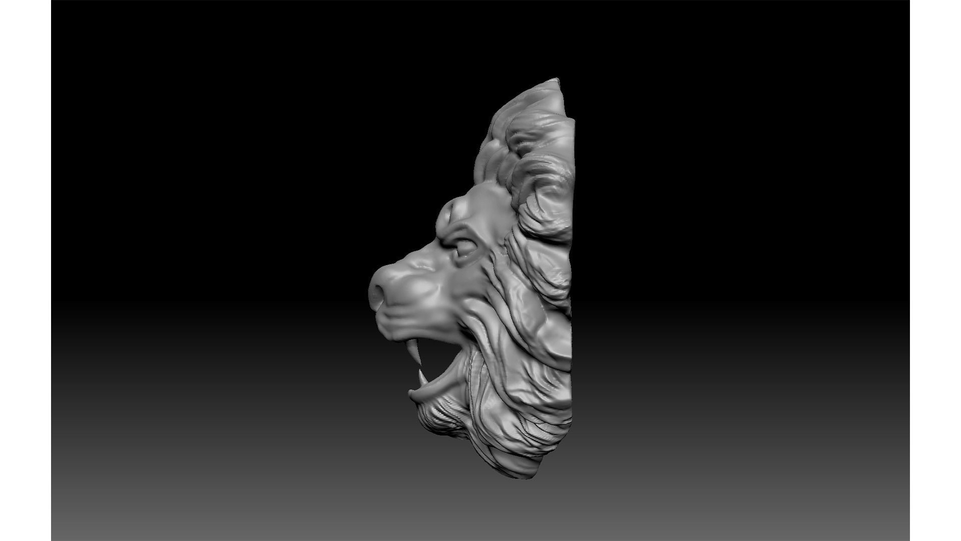 lion face 3D print model_2