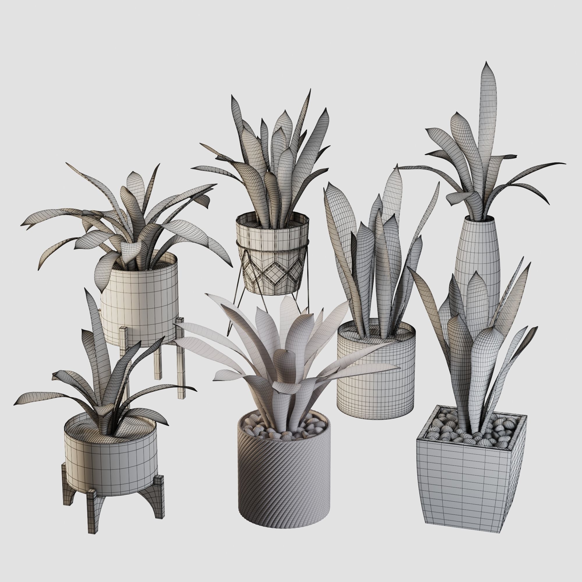 sansevieria potted plant 3D model_8