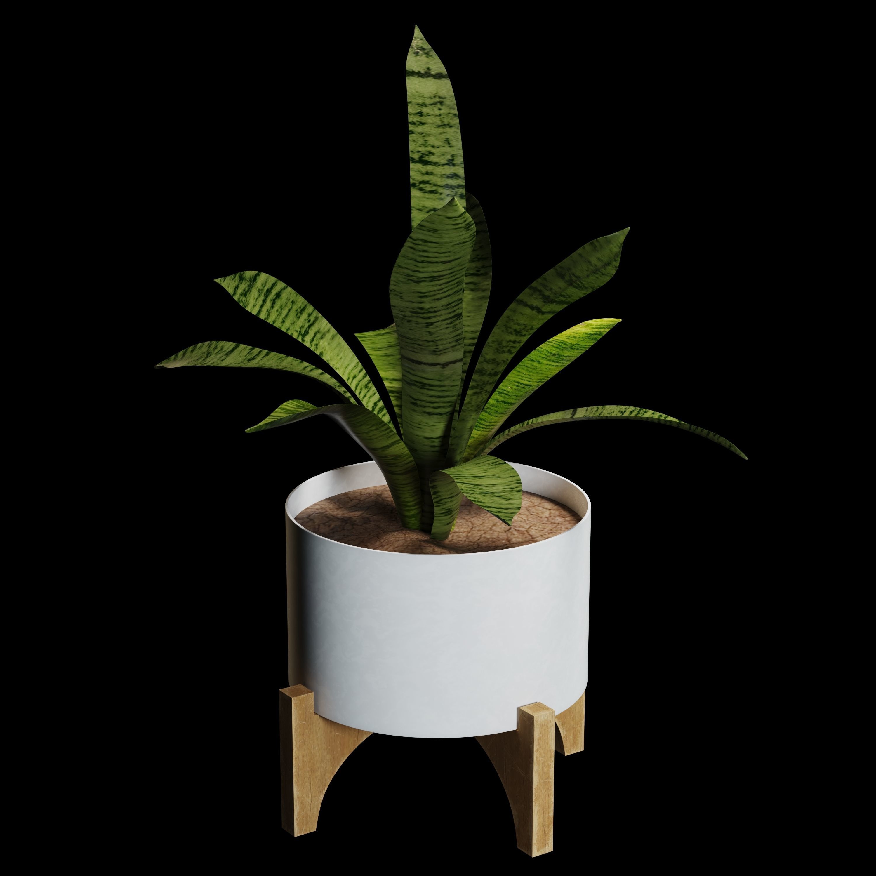 sansevieria potted plant 3D model_6