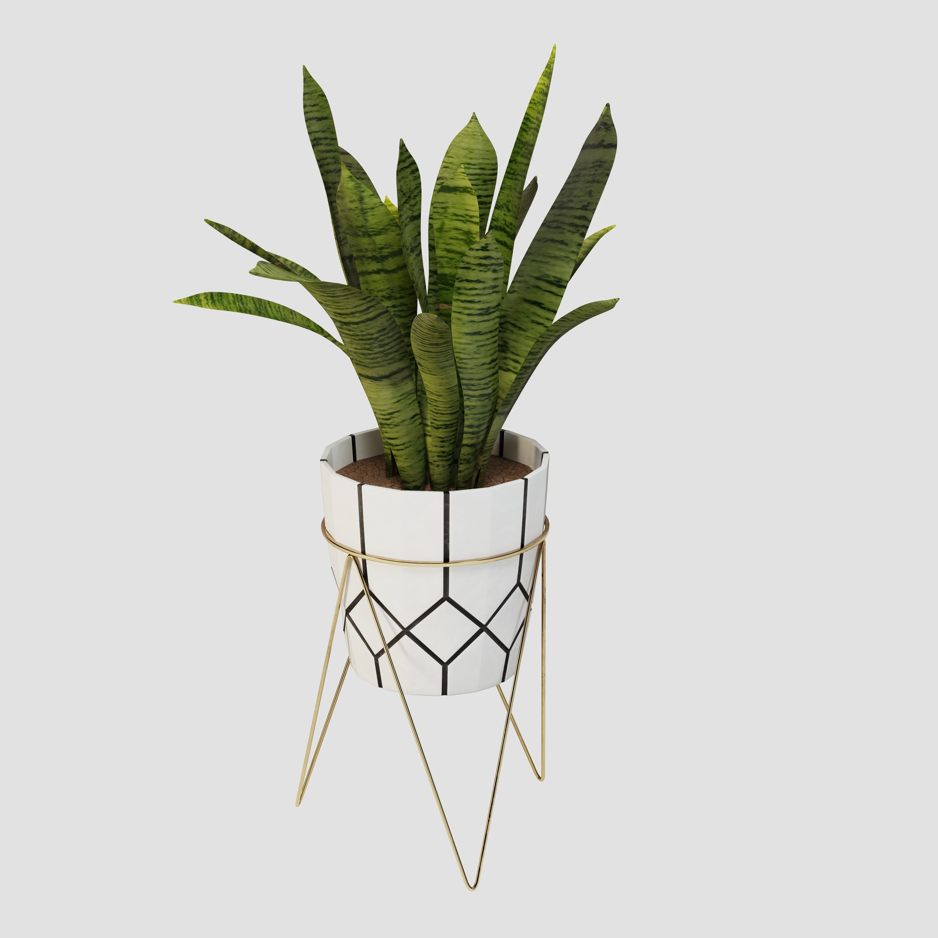 sansevieria potted plant 3D model_7