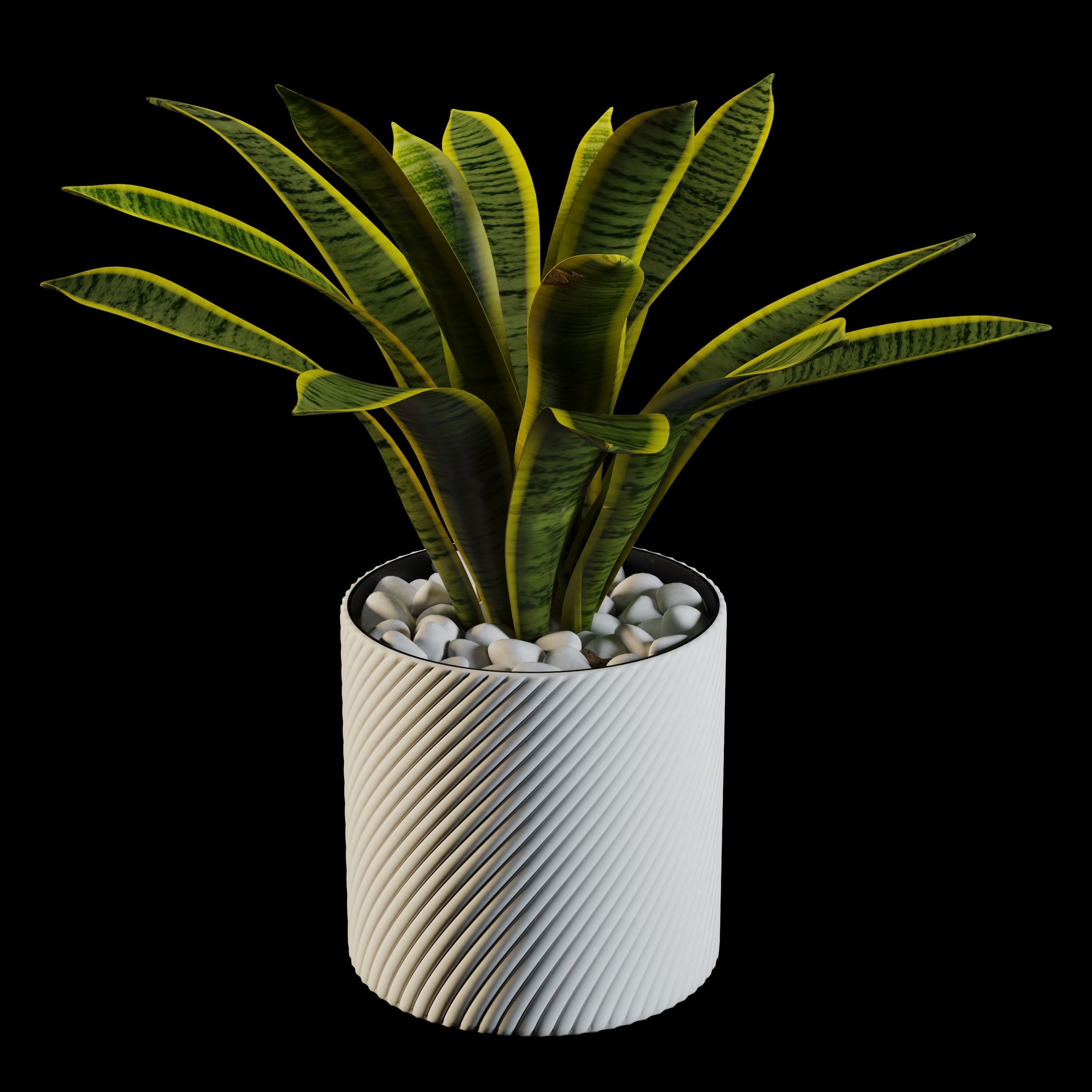 sansevieria potted plant 3D model_4