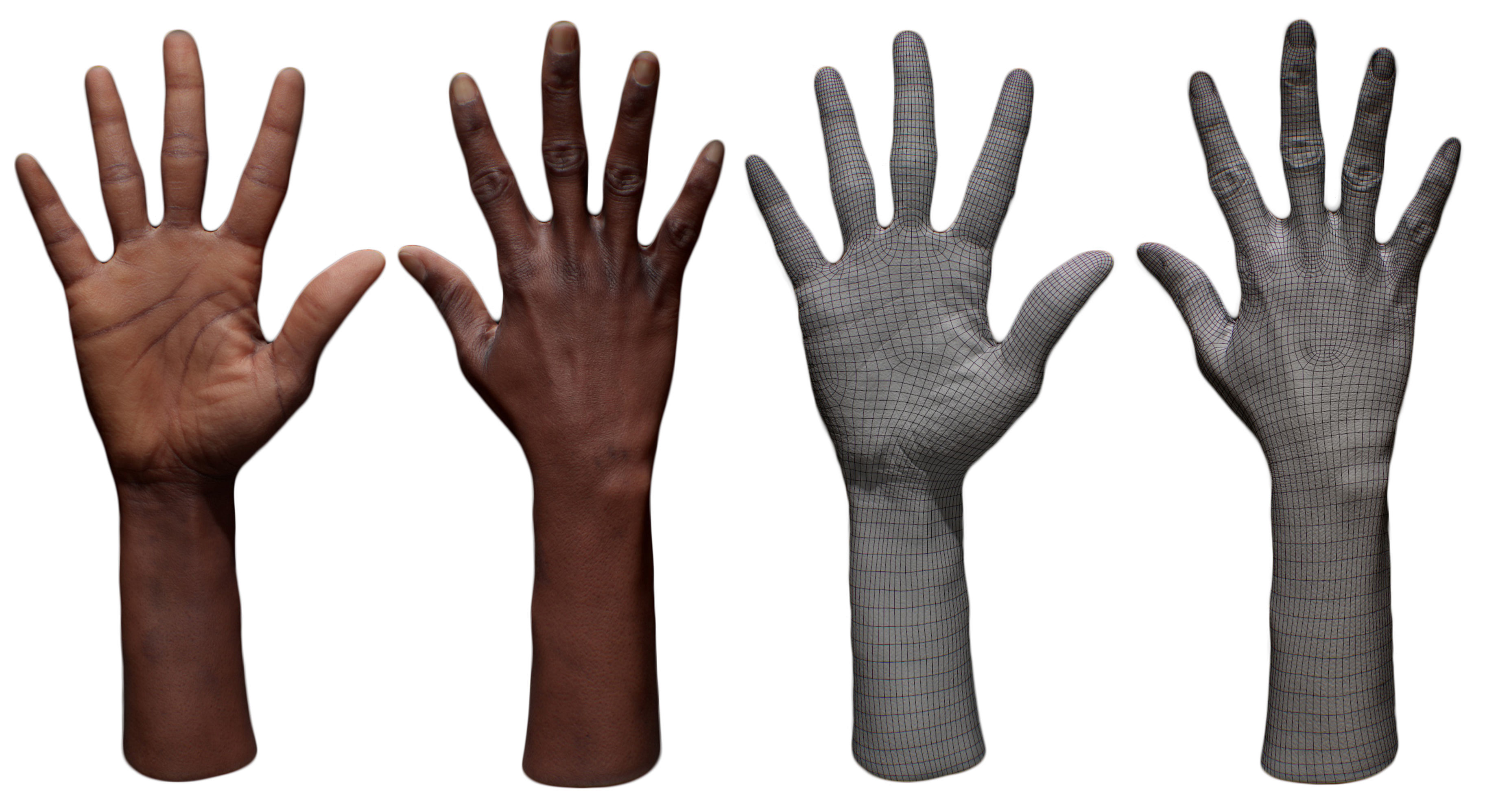 3D Retopologized Hand Senedra Graves 3D model_3