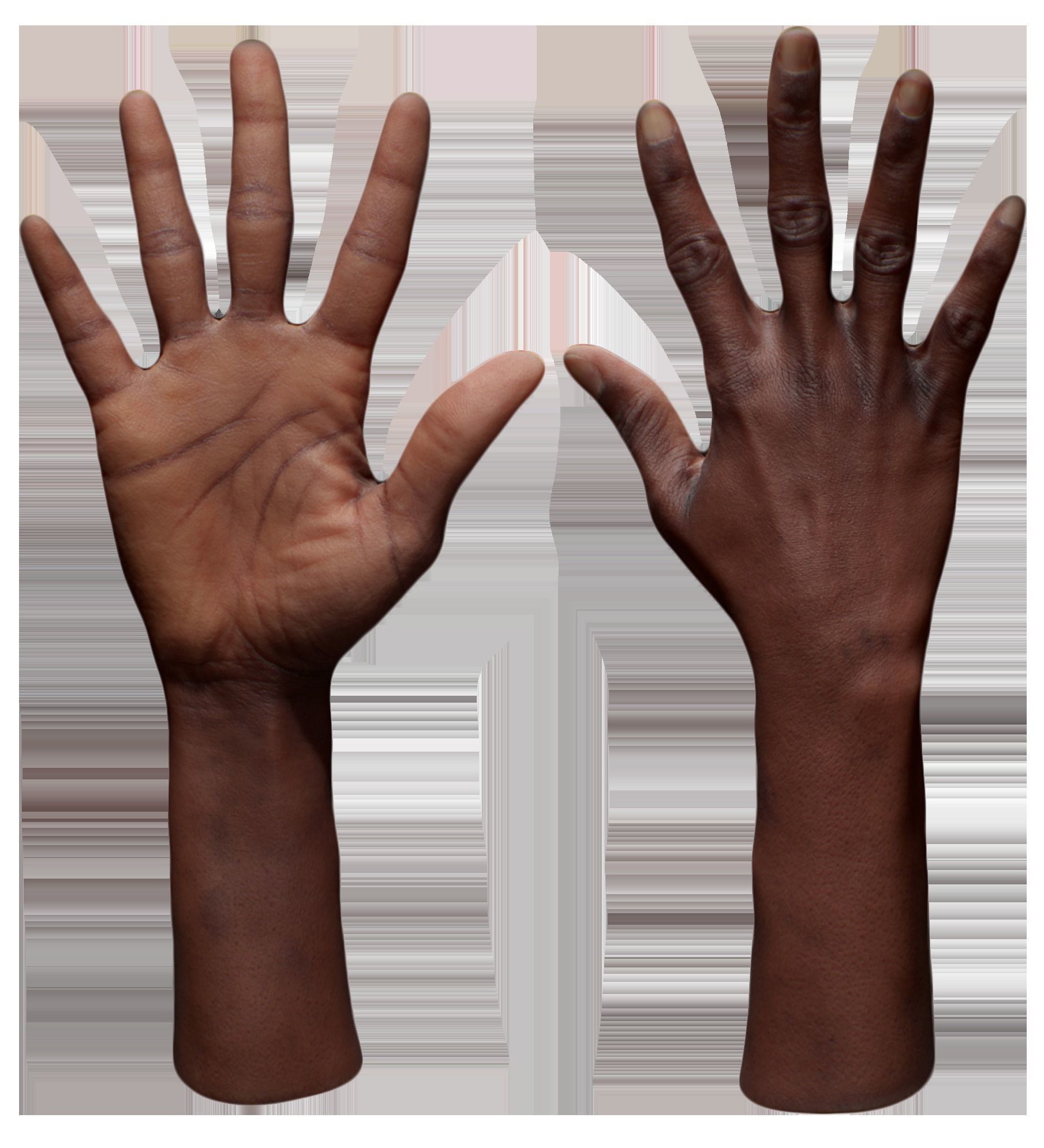 3D Retopologized Hand Senedra Graves 3D model_5