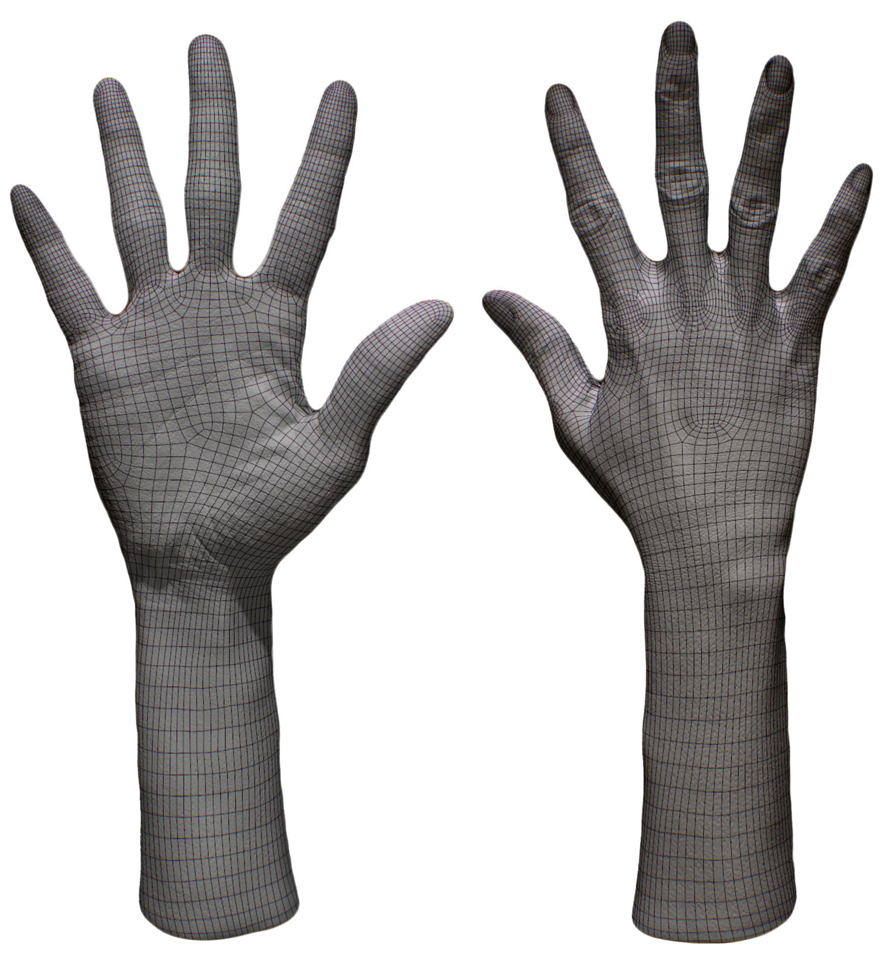 3D Retopologized Hand Senedra Graves 3D model_6
