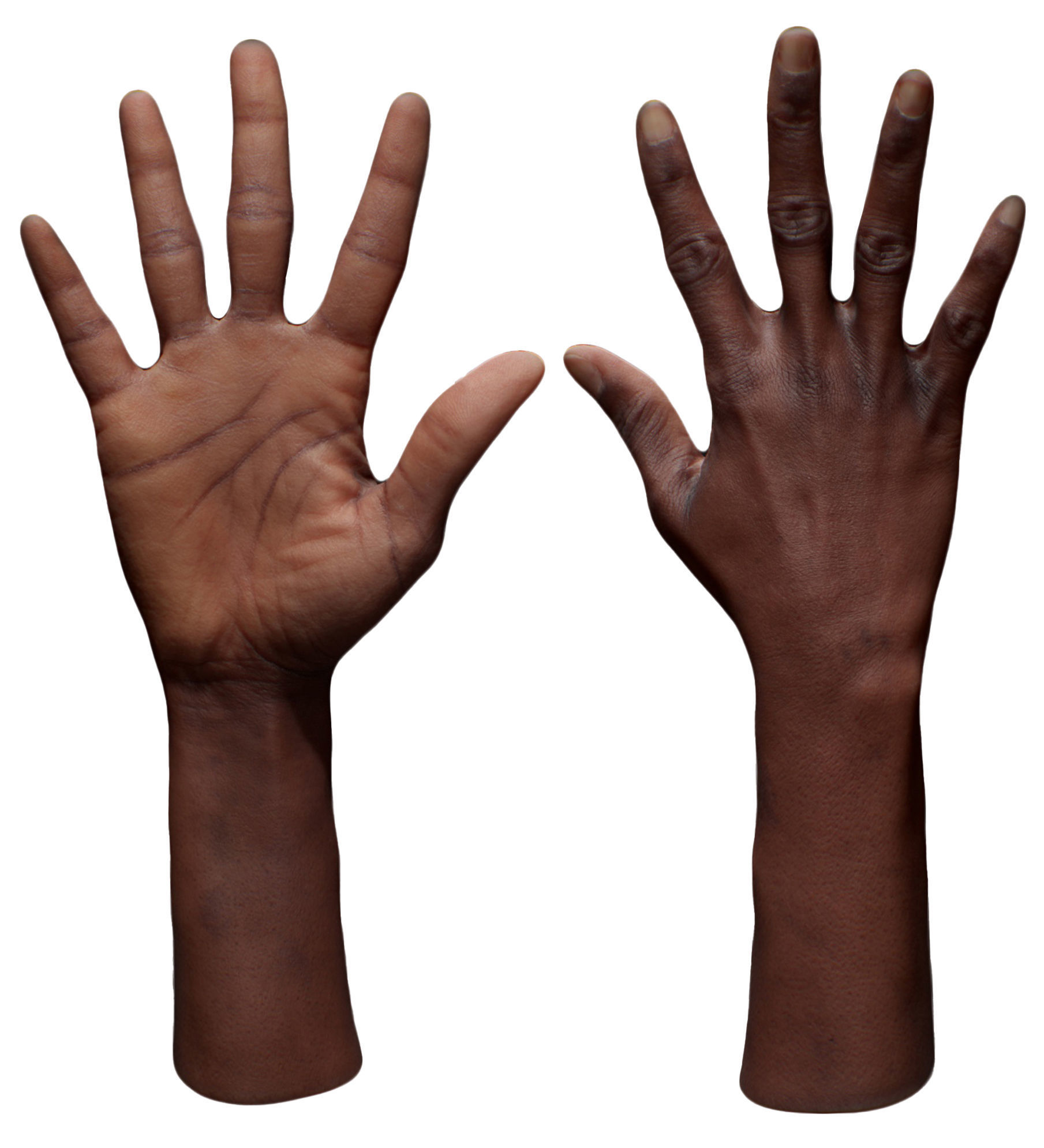 3D Retopologized Hand Senedra Graves 3D model_4