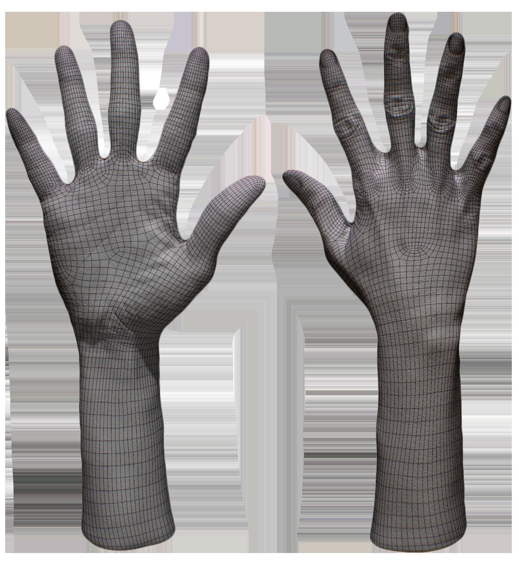 3D Retopologized Hand Senedra Graves 3D model_7