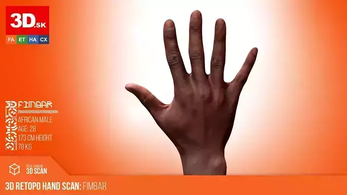3D Retopologized Hand Scan Qwantez Daniel