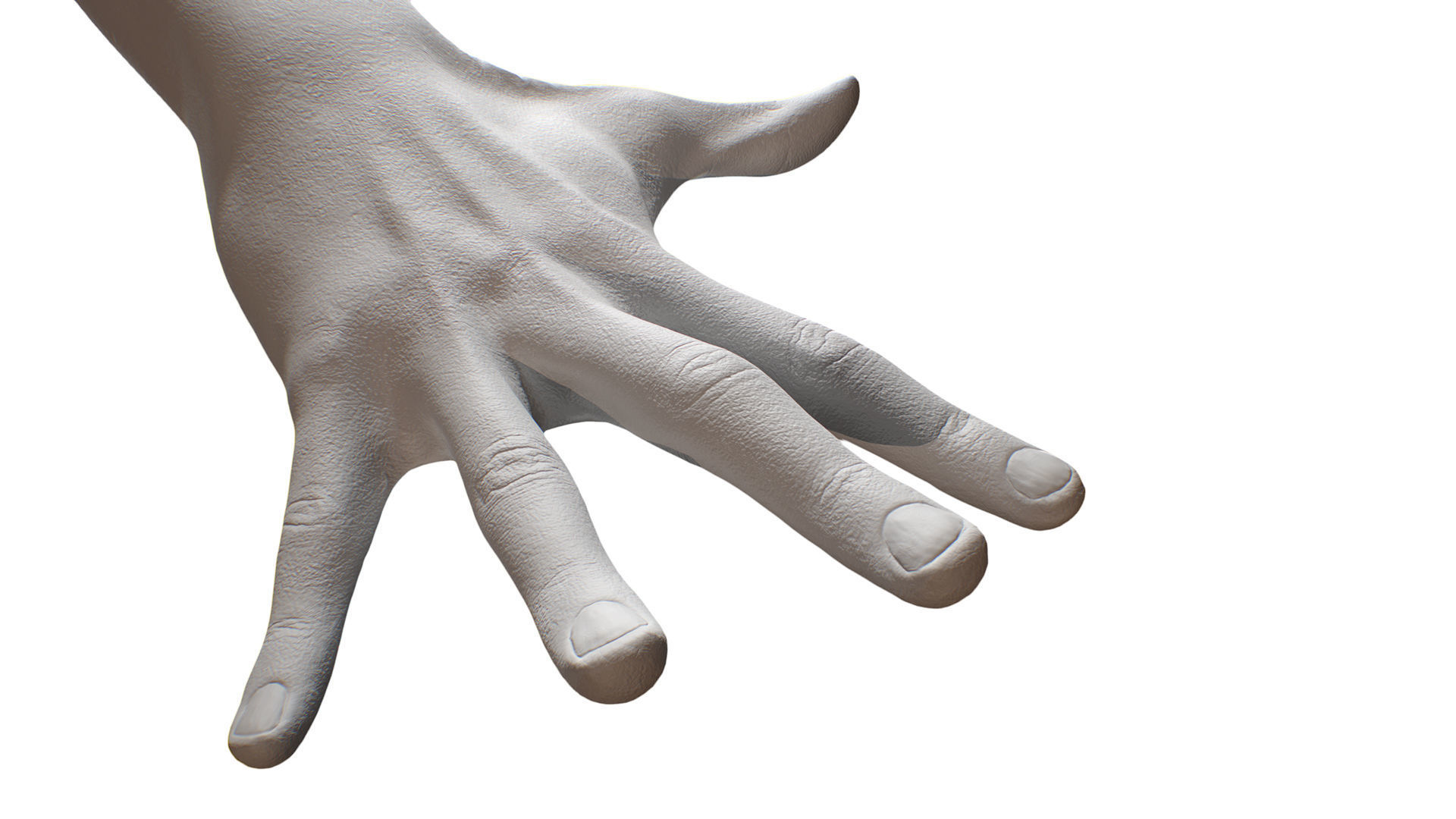 3D Retopologized Hand scan Noah George 3D model_4