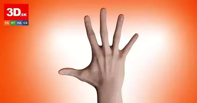3D Retopologized Hand scan Noah George 3D model