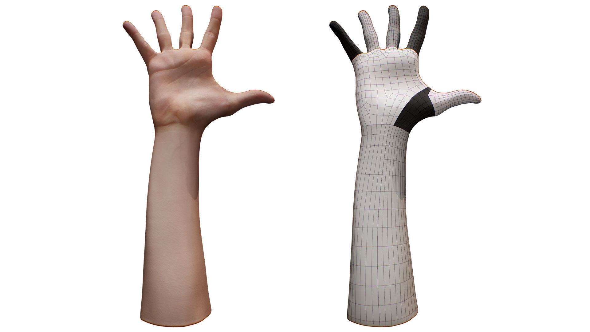 3D Retopologized Hand scan Noah George 3D model_6