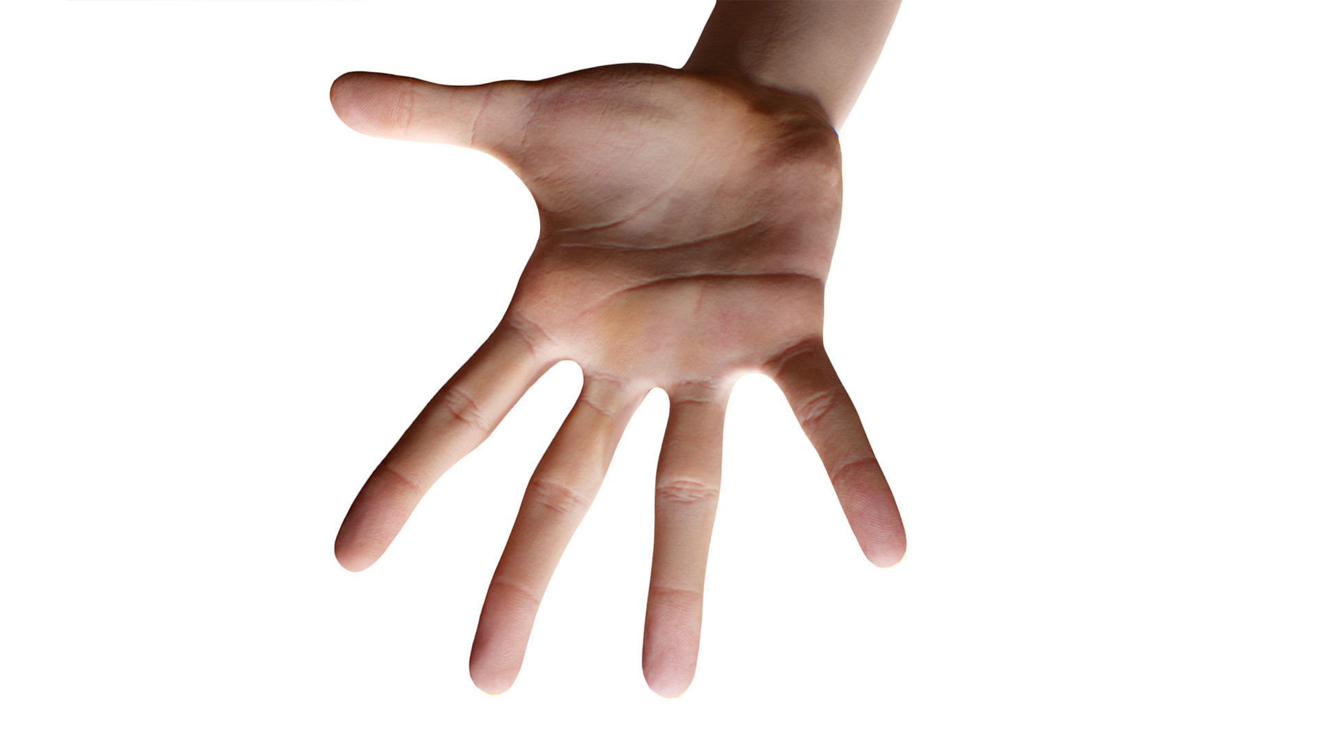 3D Retopologized Hand scan Noah George 3D model_7