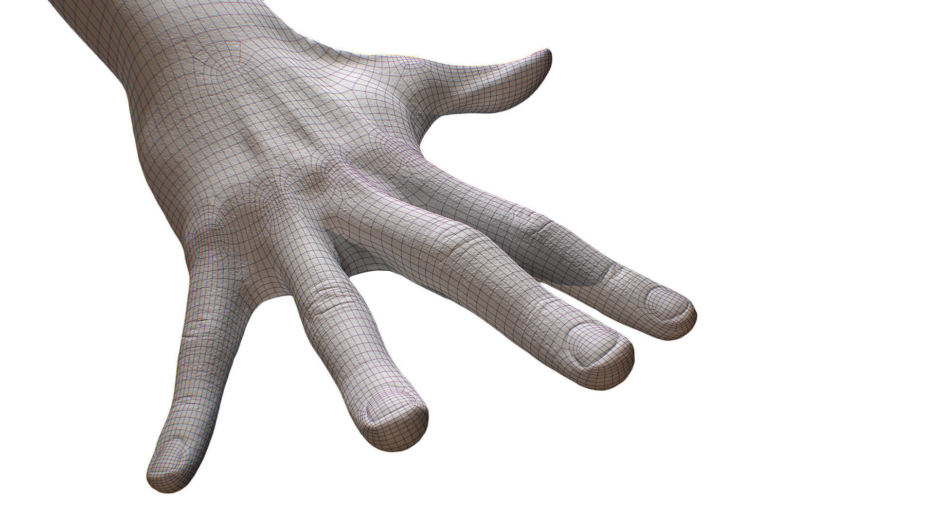 3D Retopologized Hand scan Noah George 3D model_3