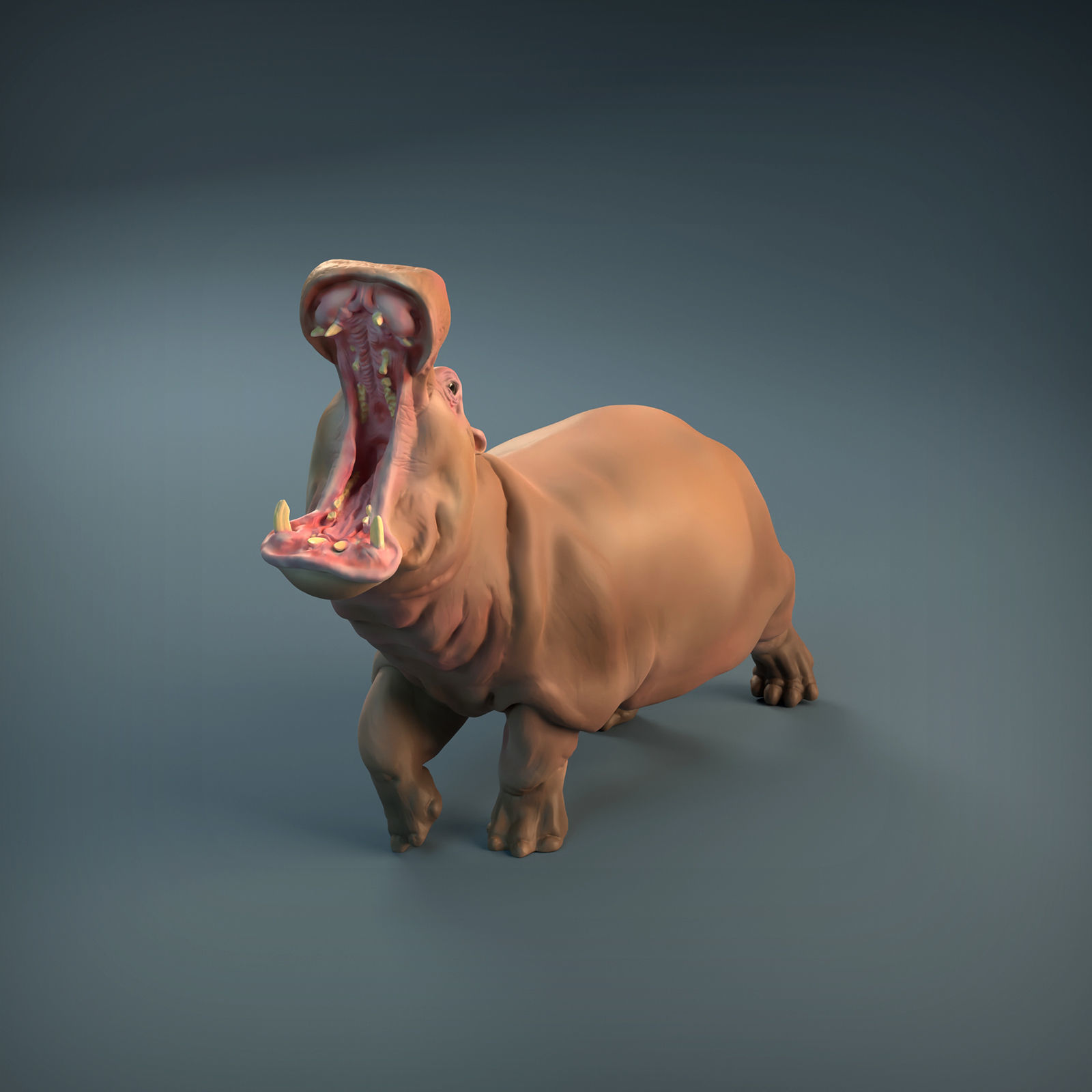 Angry Hippo for 3D printing 3D print model_8