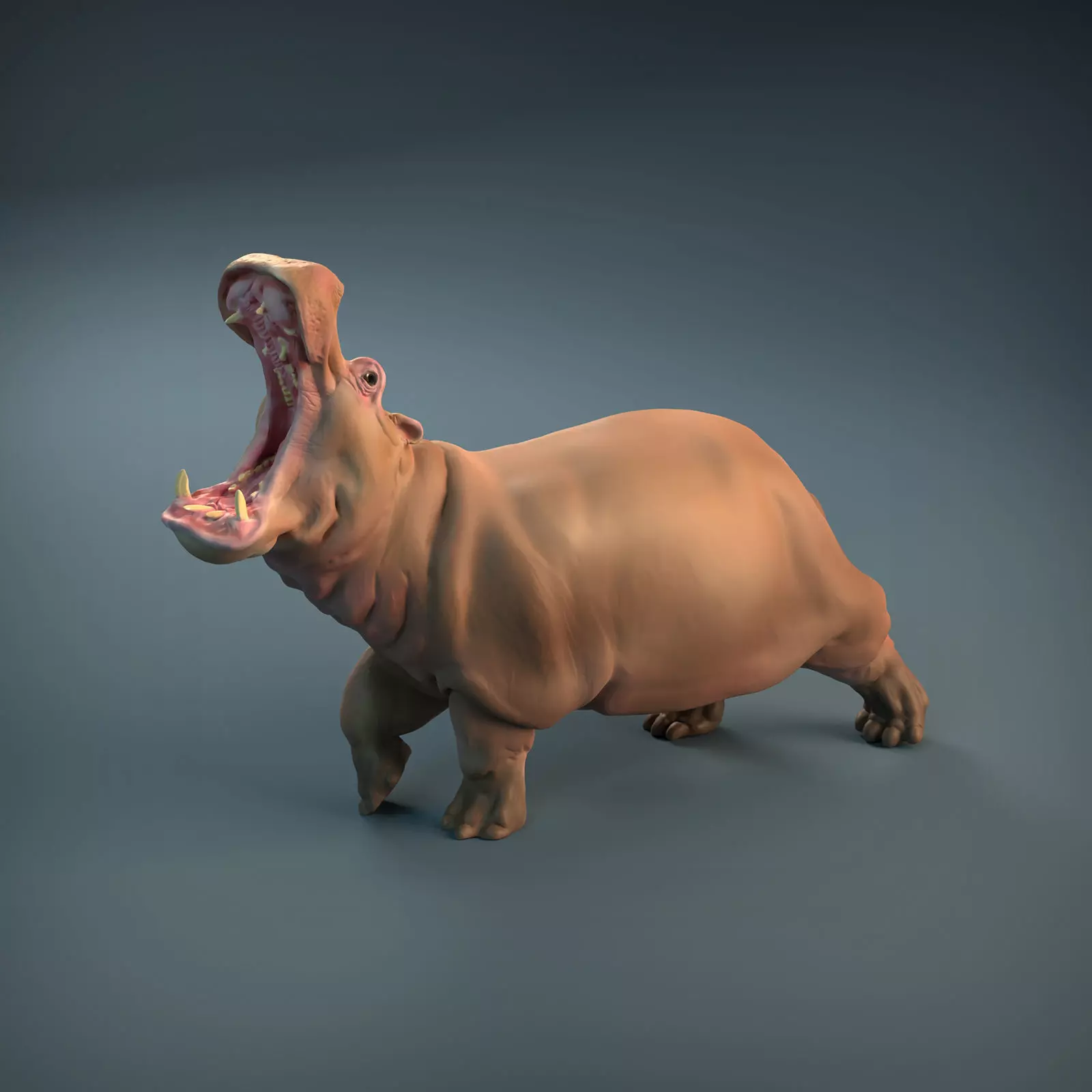 Angry Hippo for 3D printing 3D print model_0