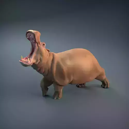 Angry Hippo for 3D printing 3D print model