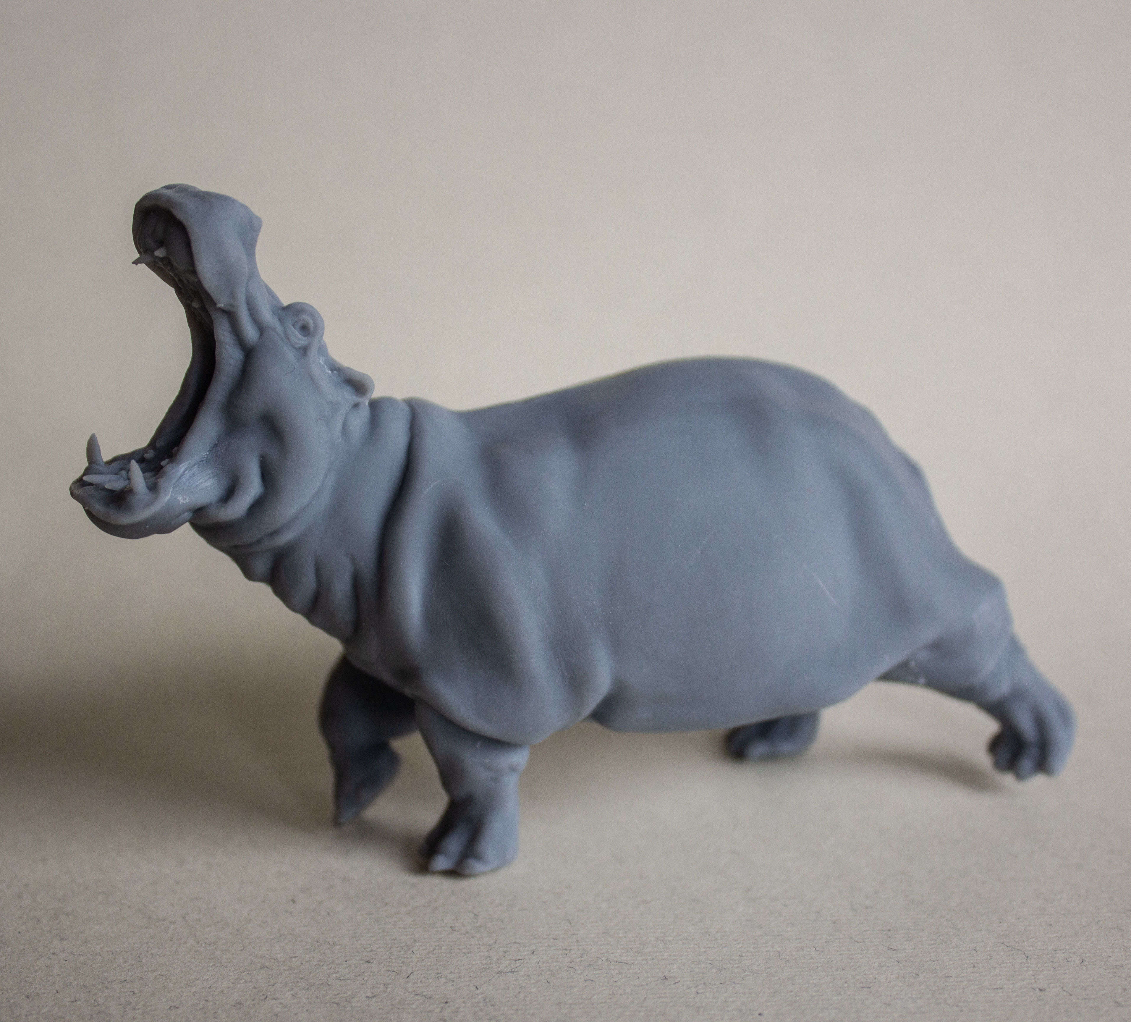 Angry Hippo for 3D printing 3D print model_2