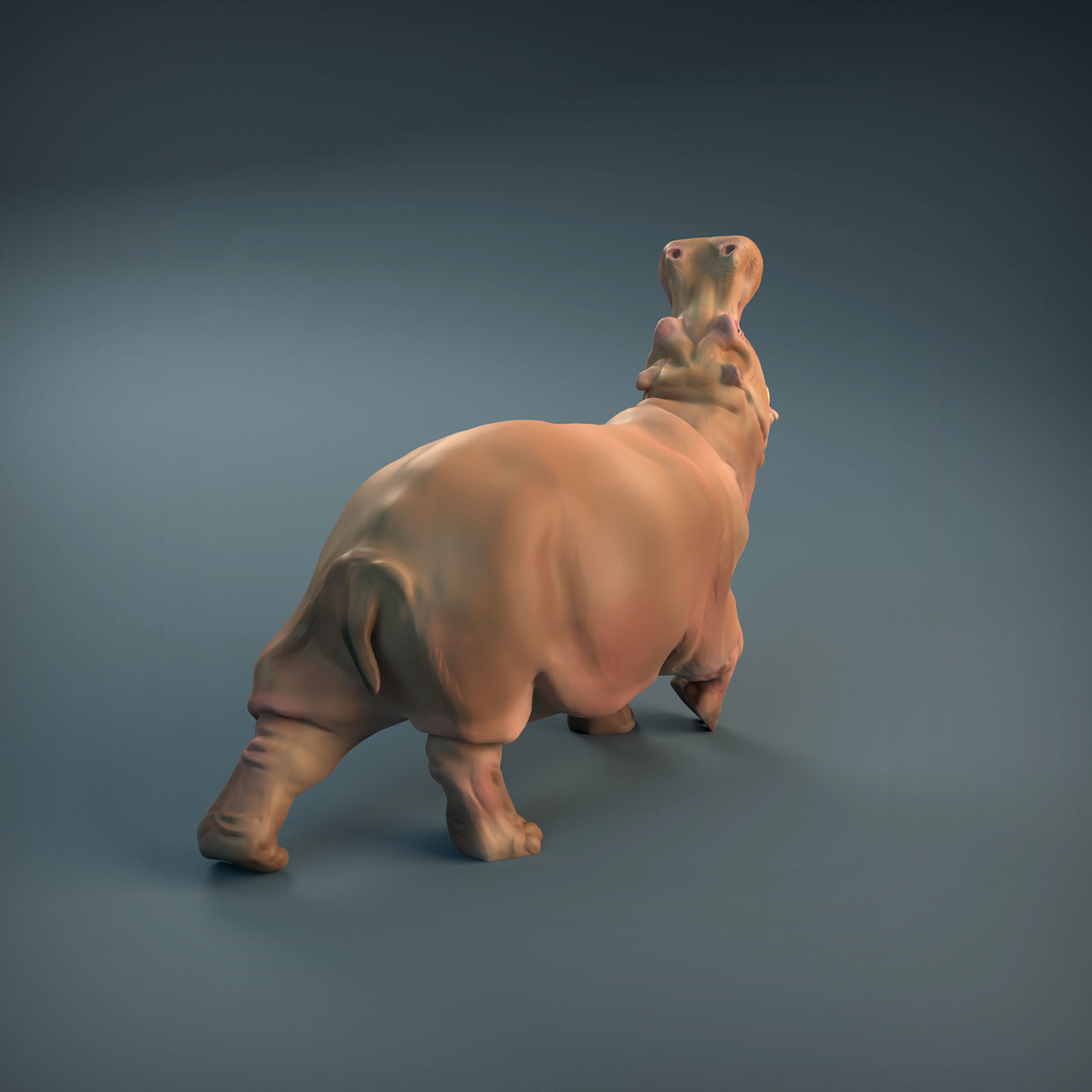 Angry Hippo for 3D printing 3D print model_12