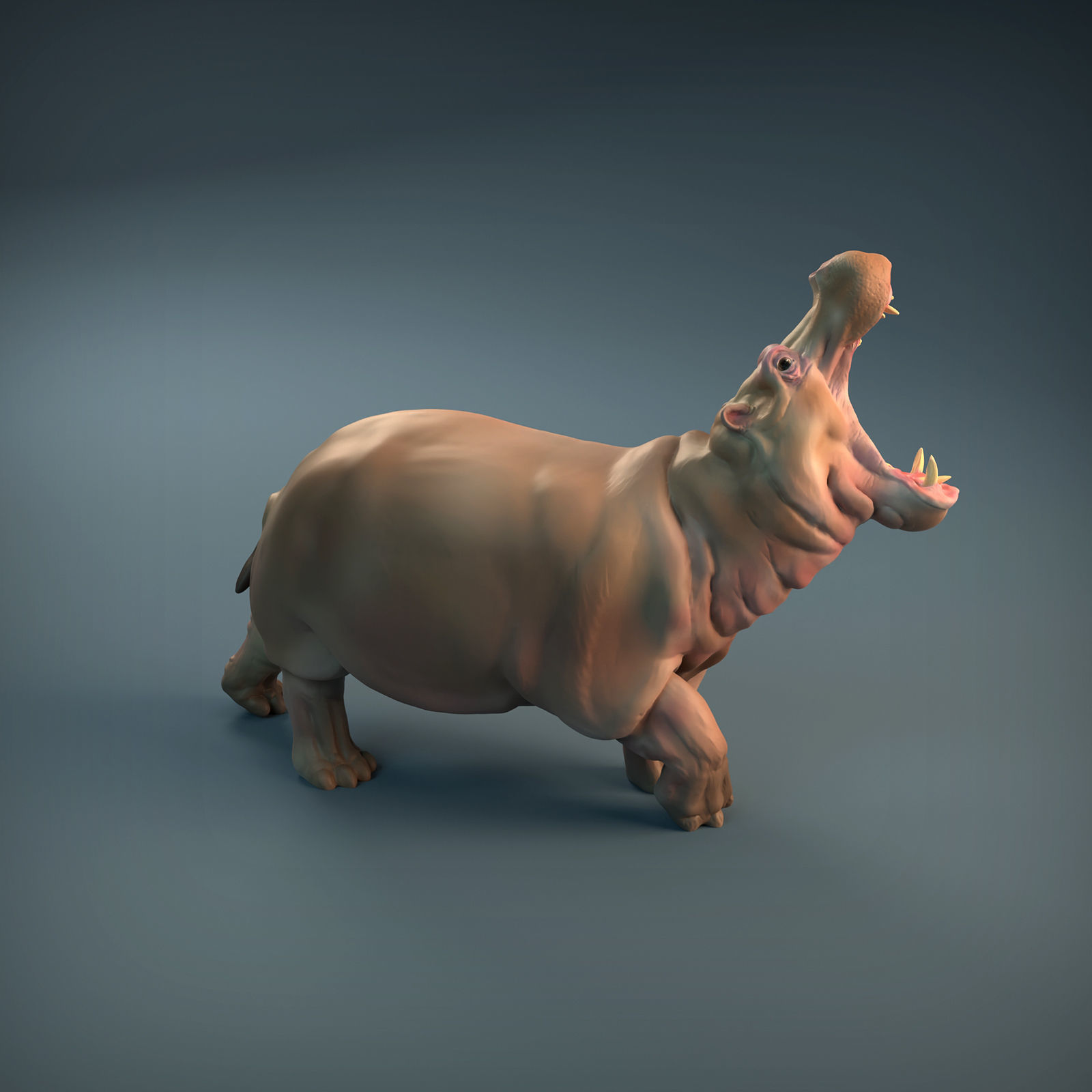 Angry Hippo for 3D printing 3D print model_10