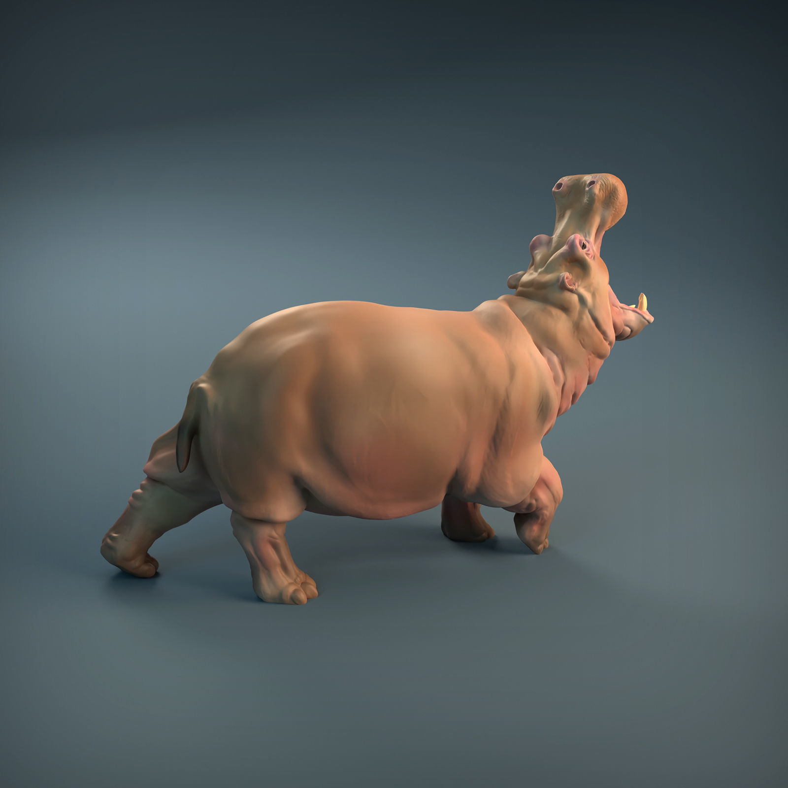 Angry Hippo for 3D printing 3D print model_11