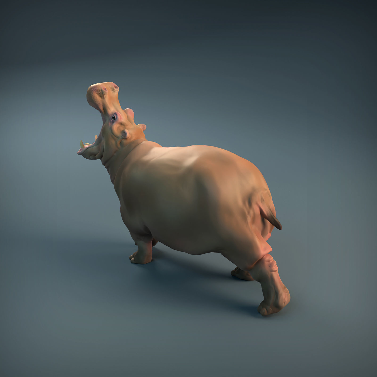 Angry Hippo for 3D printing 3D print model_13