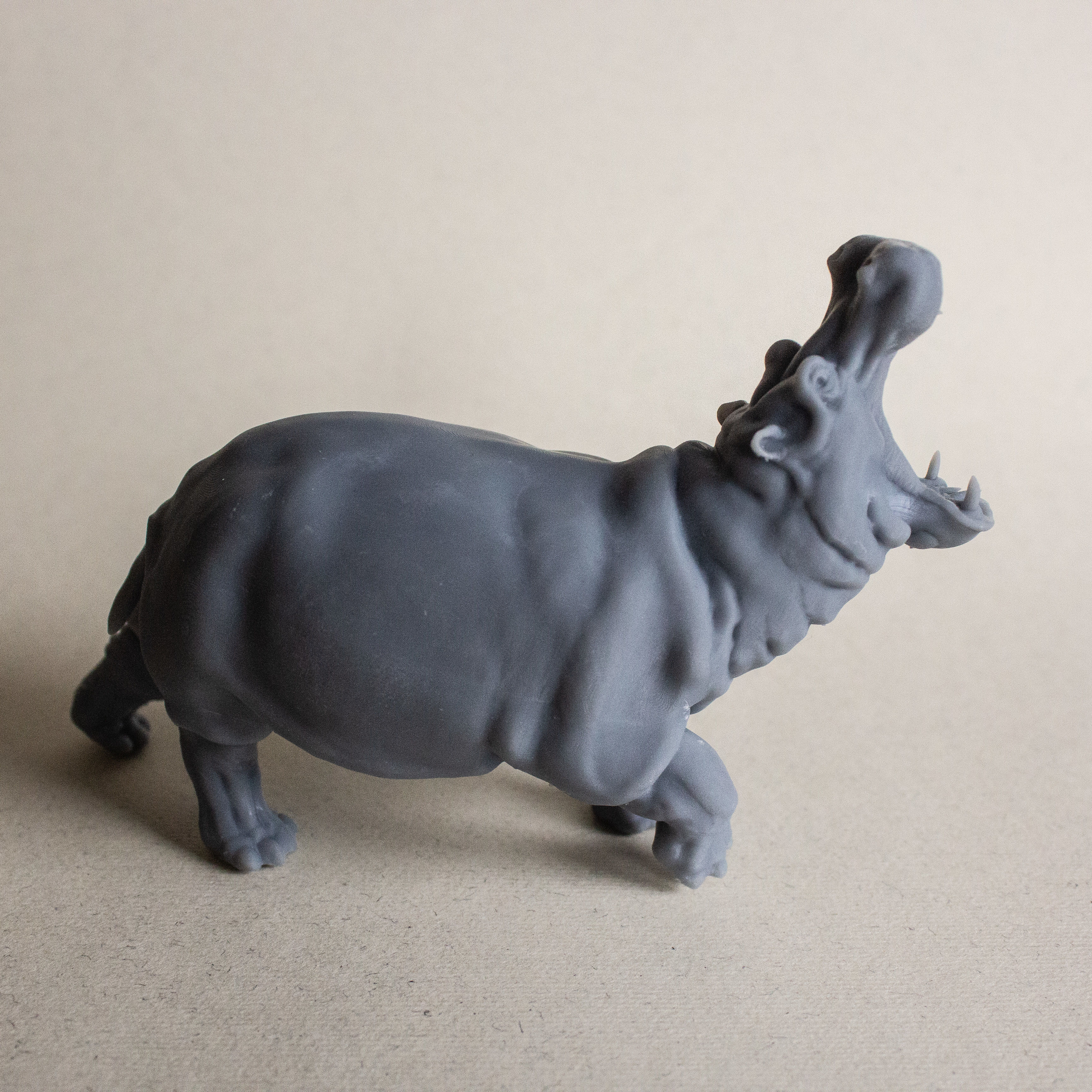 Angry Hippo for 3D printing 3D print model_3
