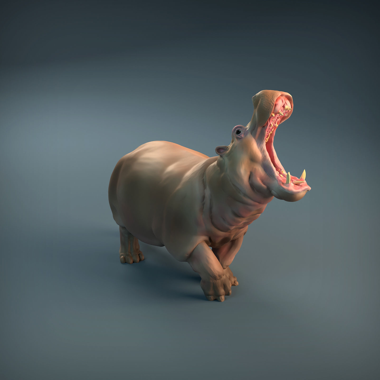 Angry Hippo for 3D printing 3D print model_9