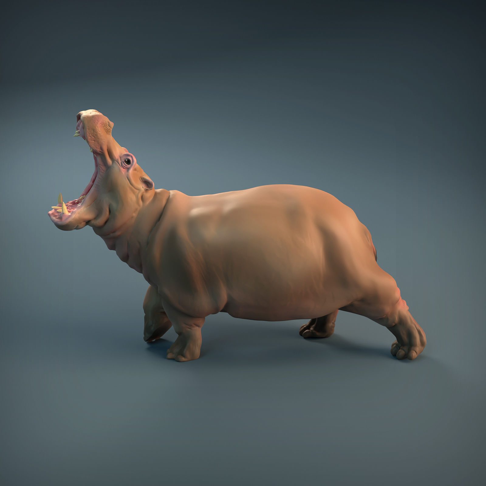 Angry Hippo for 3D printing 3D print model_14