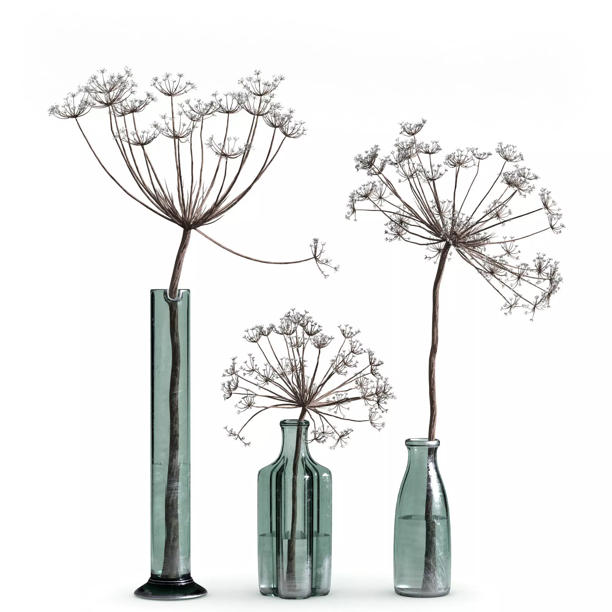 Indoor Plant Set 04-dry plants in glass vase 3D model