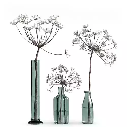 Indoor Plant Set 04-dry plants in glass vase