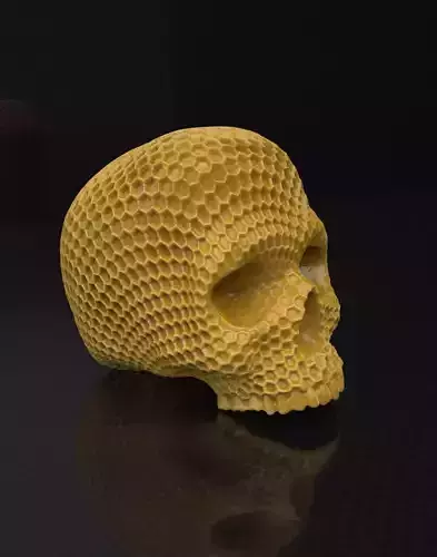Beehive Skull