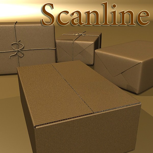Cardboard Box Wrapped in Brown Paper - Package 3D model_8