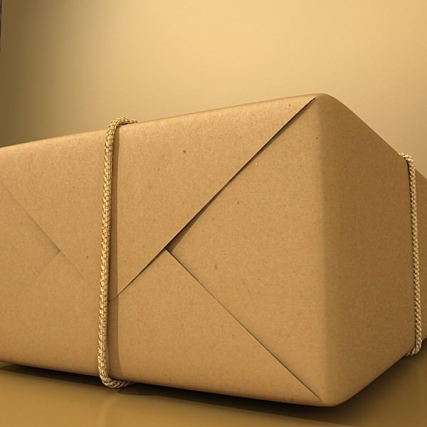 Cardboard Box Wrapped in Brown Paper - Package 3D model_3
