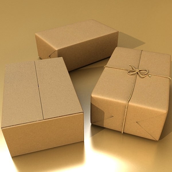 Cardboard Box Wrapped in Brown Paper - Package 3D model_1