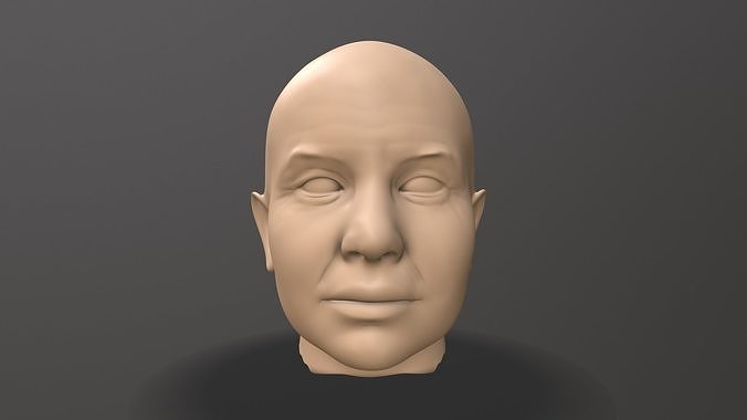 Male Head Sculpt  3D model