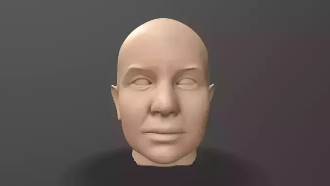 Male Head Sculpt  3D model