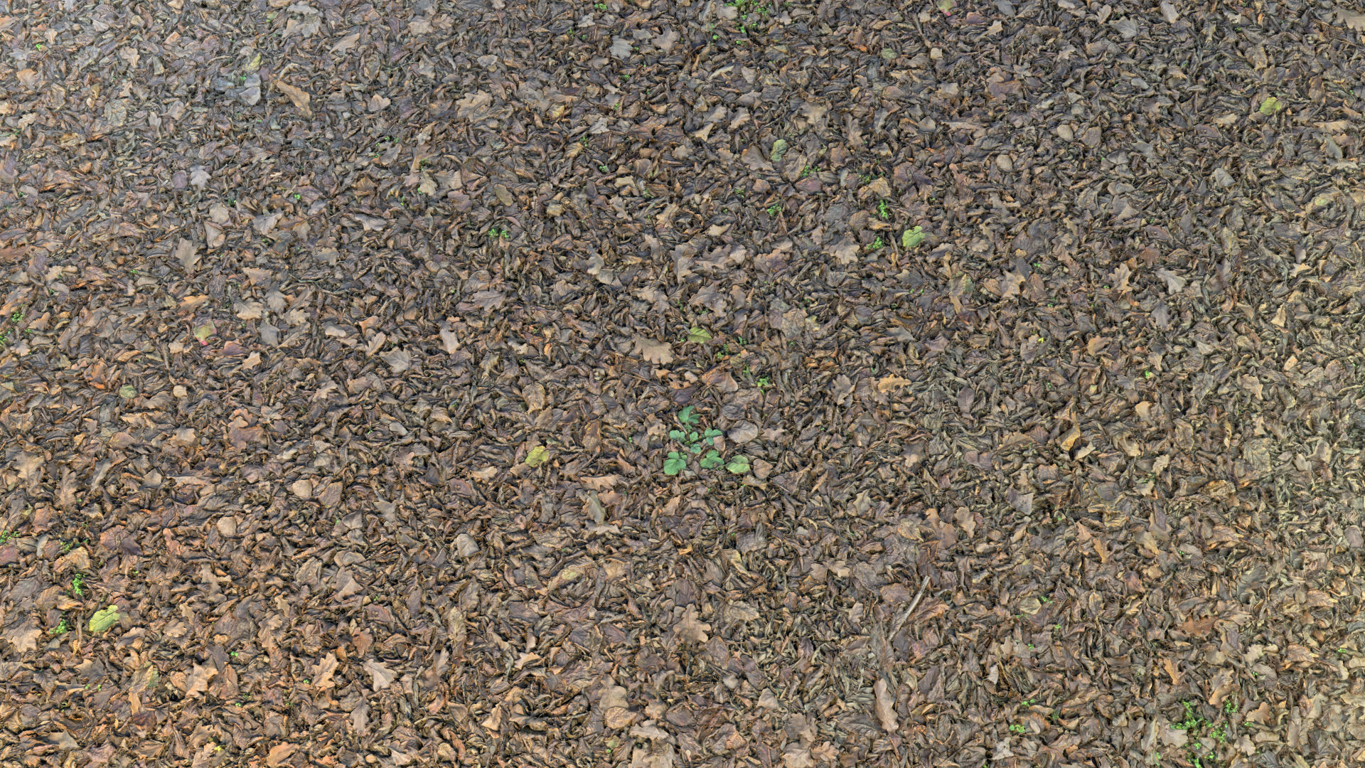 Mixed-Leves 03 Texture_2