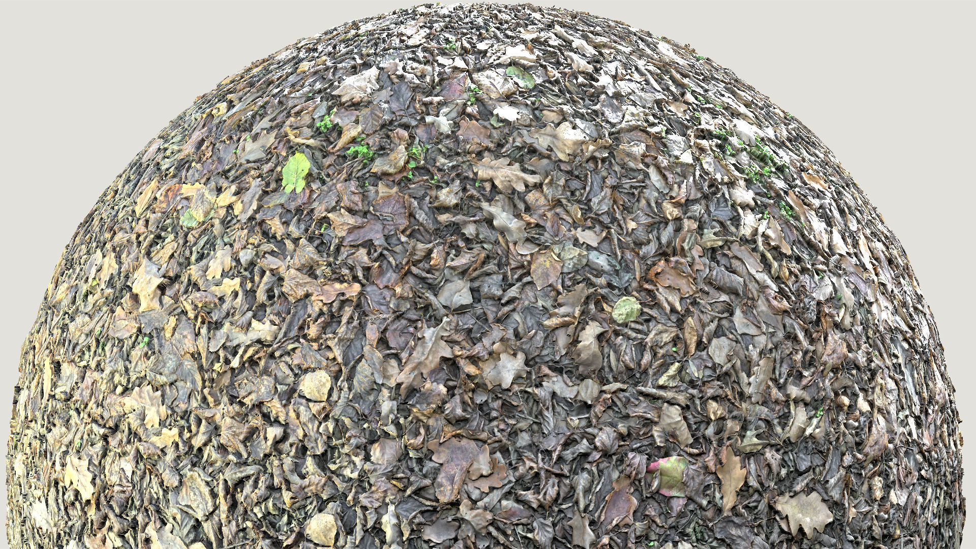 Mixed-Leves 03 Texture_4