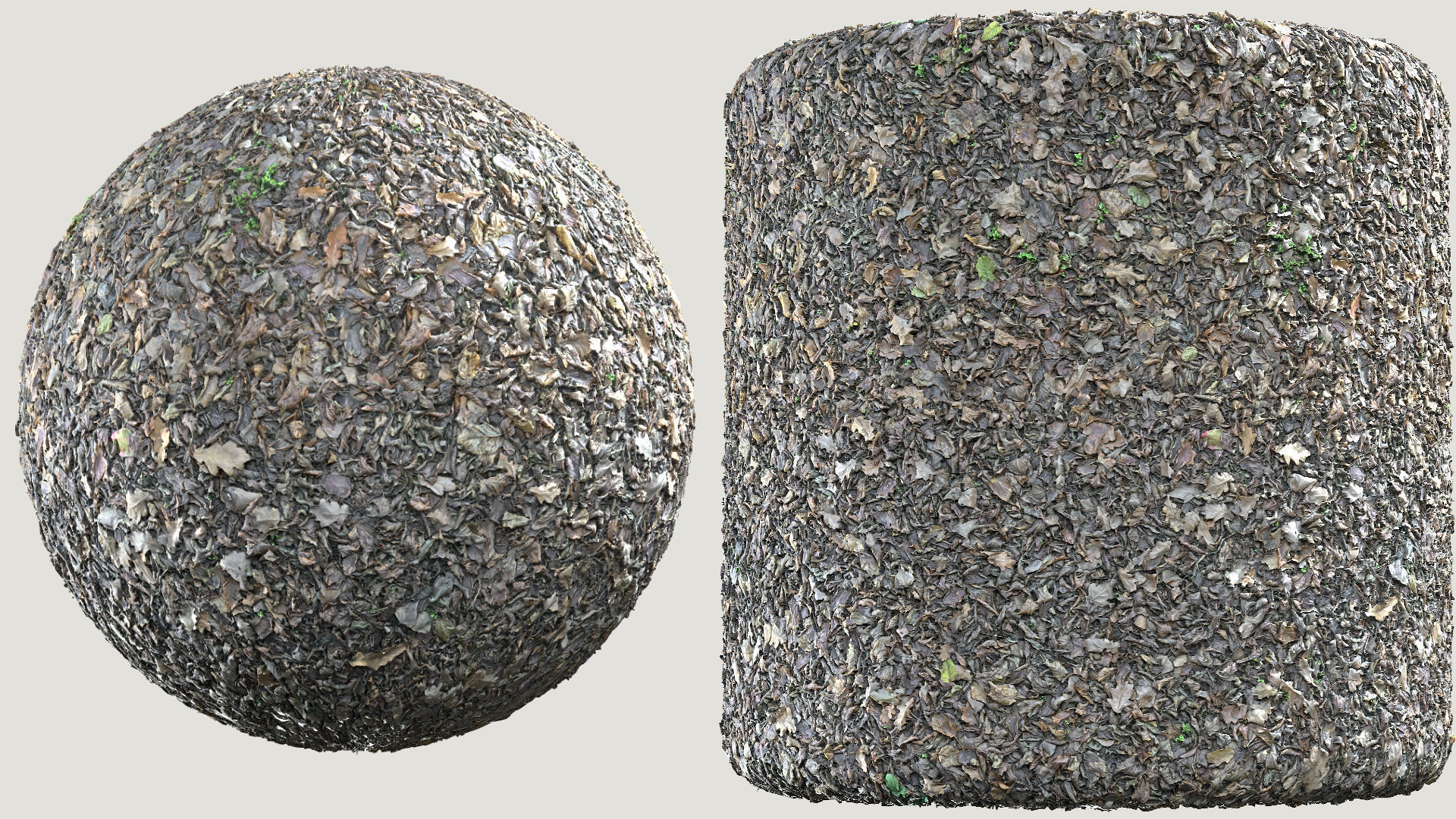 Mixed-Leves 03 Texture_1