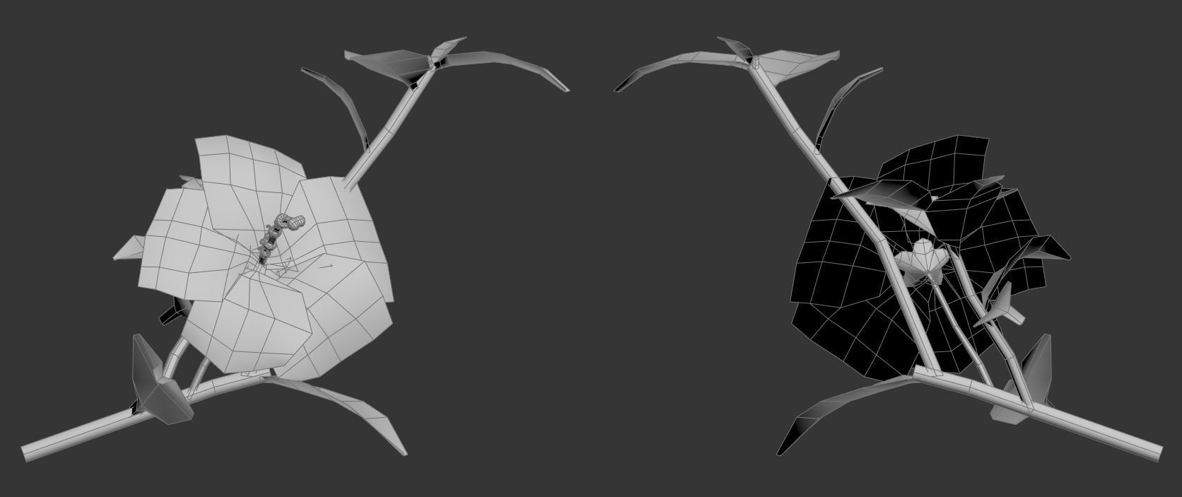 Rose of Sharon   Korean Rose PBR  Low poly model Low-poly 3D model_4