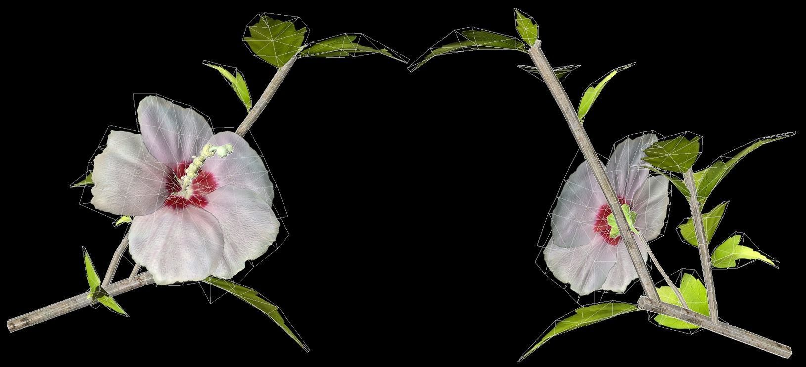 Rose of Sharon   Korean Rose PBR  Low poly model Low-poly 3D model_3