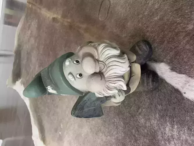 Gnome