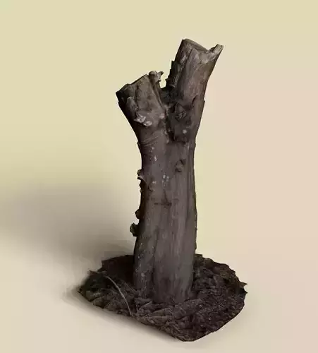 3d Tree Roots middle polygon PBR model