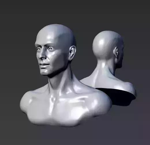 Young Man Head  3D print model