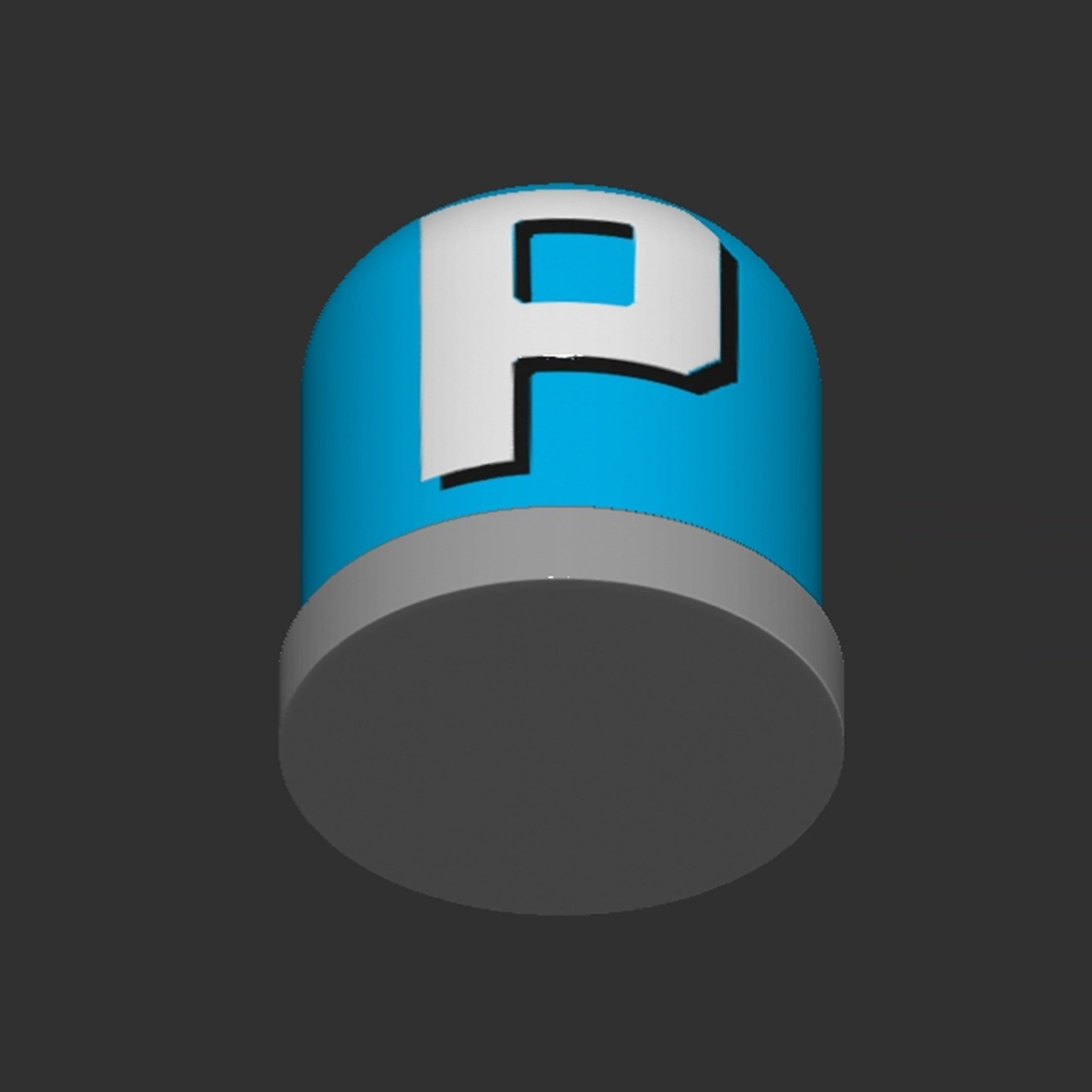 P Switch Button 3D print model_12